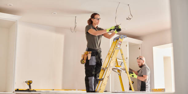 Best Electric Panel Repair  in Crystal, MN
